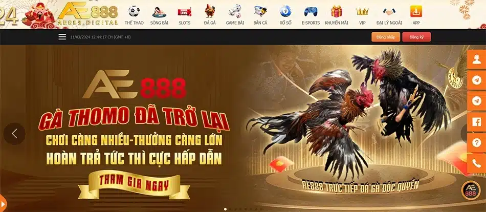 hướng dẫn Cá cược đá gà trực tuyến tại AE888